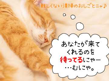 たまには家に帰ったらお昼寝しちゃうのもいいかも★。・